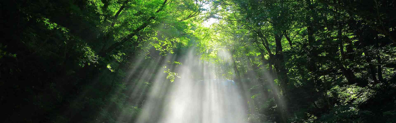 Solas Health Customer Testimonial